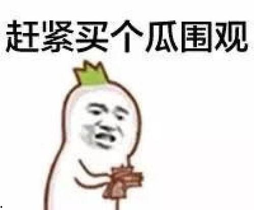娱乐吃瓜酱东北老铁,东北老铁的娱乐吃瓜日常