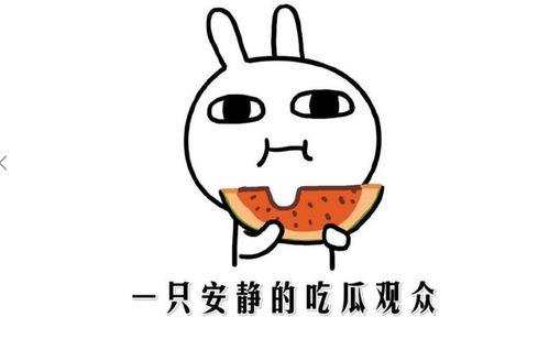 娱乐圈吃瓜的正确方式,如何正确开启你的“瓜田”之旅