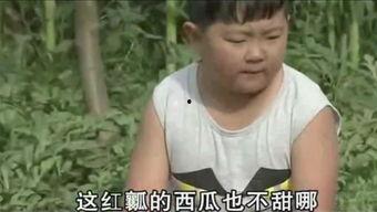 小胖娱乐吃瓜,揭秘娱乐圈那些不为人知的幕后故事
