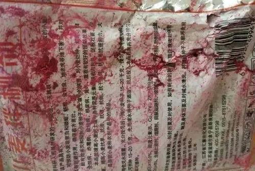 娱乐吃瓜酱感受不到爱,感受不到爱的娱乐喧嚣