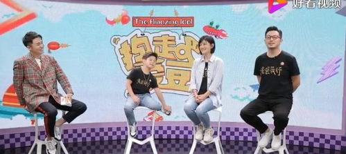 娱乐圈吃瓜群众的简介,揭秘明星幕后故事与八卦风云