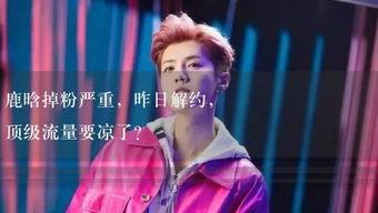 小何娱乐吃瓜,揭秘娱乐圈吃瓜背后的真相