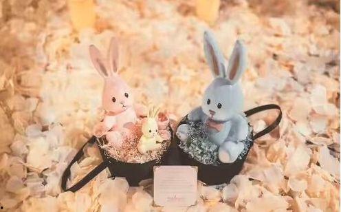 娱乐圈兔吃瓜,兔吃瓜事件揭秘