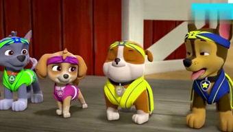 娱乐吃瓜君汪汪,揭秘娱乐圈那些不为人知的幕后故事