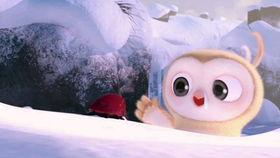 娱乐吃瓜视频日常,吃瓜群众日常狂欢现场