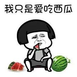 娱乐资讯快乐吃瓜,快乐吃瓜，揭秘明星幕后故事