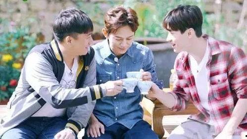 娱乐吃瓜酱刘宪华,娱乐吃瓜界的“瓜王”传奇