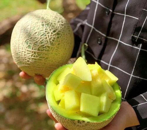 娱乐圈吃瓜壁纸高清图片