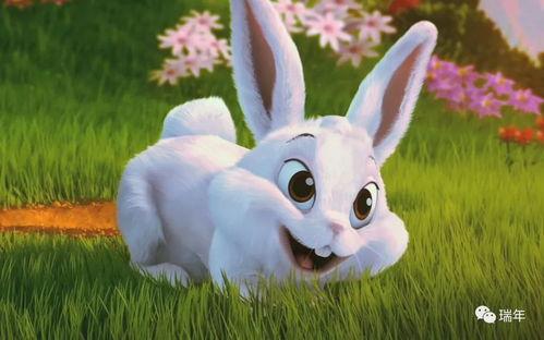 娱乐吃瓜小兔子视频大全,盘点热门视频大全