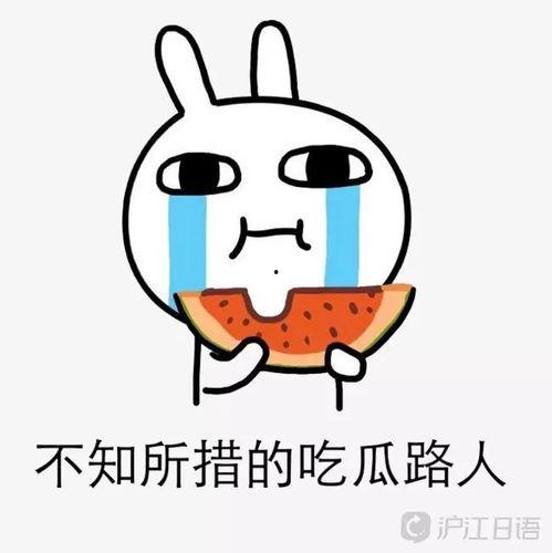 娱乐圈大事件吃瓜考试