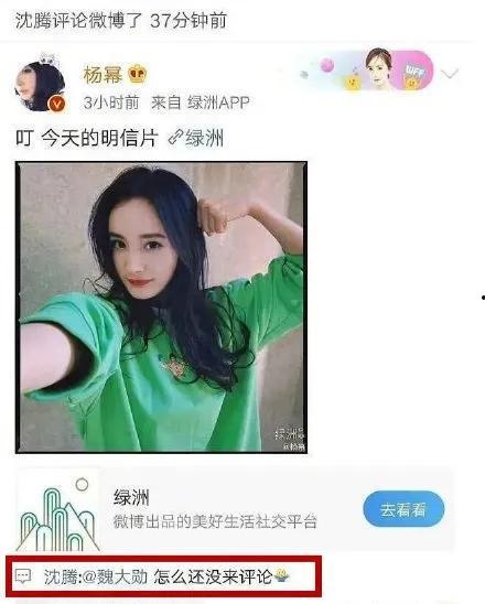 吃瓜娱乐圈网友评论,网友热议明星动态，揭秘幕后真相